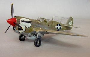 Hasegawa A9 P-40N Warhawk 1/72 – imagen 2