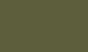 Lifecolor UA470 - Vert extra foncé 22 ml