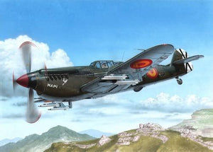 Special Hobby 72308 HA-1112 M-1L Buchon Ejercito del Aire 1/72