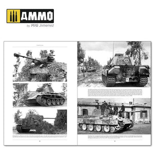 Ammo of Mig 6263 ITALIENFELDZUG. German Tanks and Vehicles 1943-1945 Vol. 2 – imagen 2