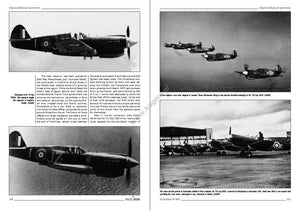 Kagero 3036 Curtiss P-40 vol. I EN – immagine 2