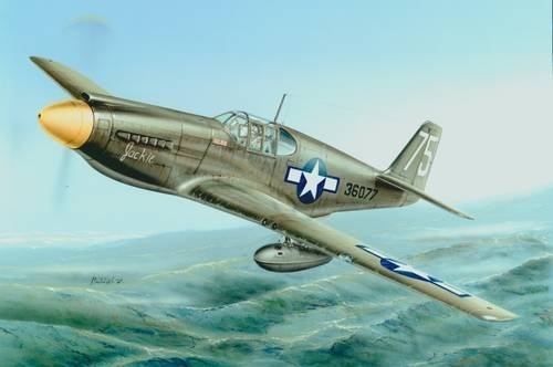 Special Hobby 72043 P-51A/F-6A Mustang 1/72