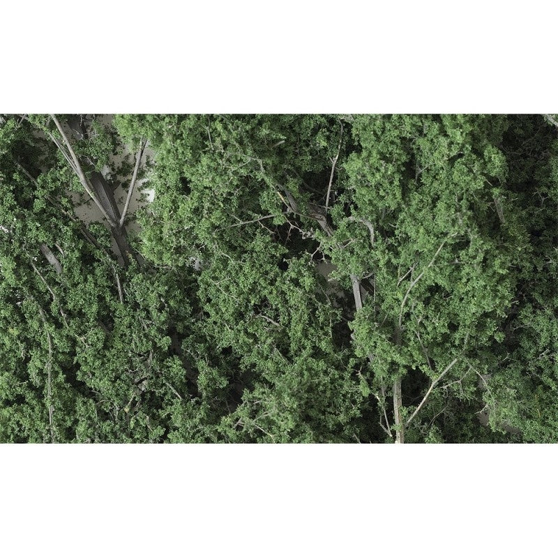 Woodland Scenic WF1130 PETITES FEUILLES - VERT FONCÉ (1,22 dm3) – image 2