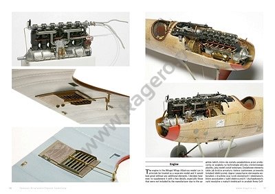 Kagero 5010 Albatros D.III/D.V Aces’ fighter EN/PL – imagen 3