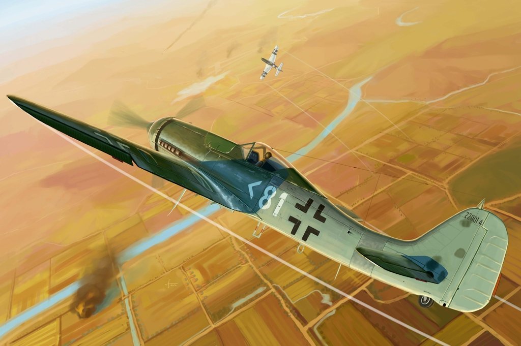 Hobby Boss 81718 Focke Wulf FW 190D-11 1/48