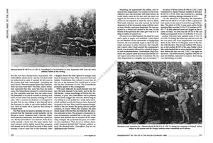 Kagero 12013 Messerschmitt Bf 109 C/D in the Polish Campaign 1939 EN – imagen 3
