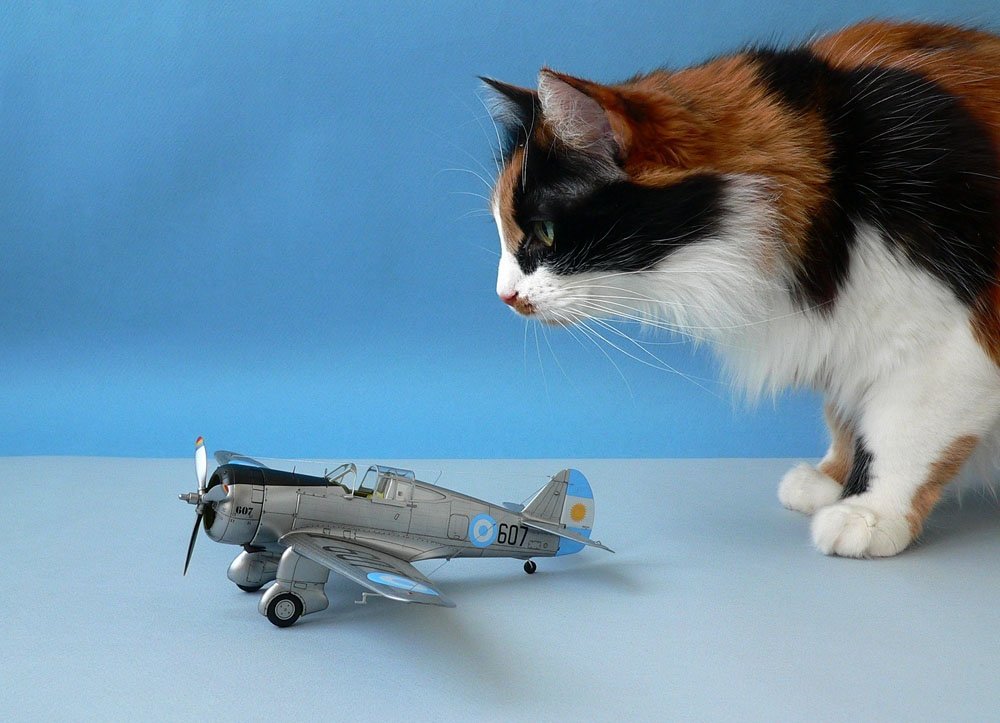 Clear Prop! CP4803 H-75O Hawk ADVANCED KIT 1/48 – zdjęcie 18