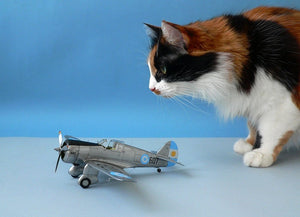 Clear Prop! CP4803 H-75O Hawk ADVANCED KIT 1/48 – zdjęcie 18