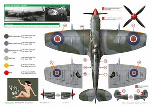 Décalcomanies Exito ED48003 Sexy Spitfires - Supermarine Spitfire LF Mk Vb - VIII - IXe 1/48 – image 7