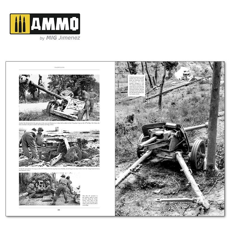 Ammo of Mig 6263 ITALIENFELDZUG. German Tanks and Vehicles 1943-1945 Vol. 2 – imagen 8