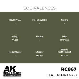AK Interactive RC867 Slate No.34 (BS381) 17 ml – Bild 3