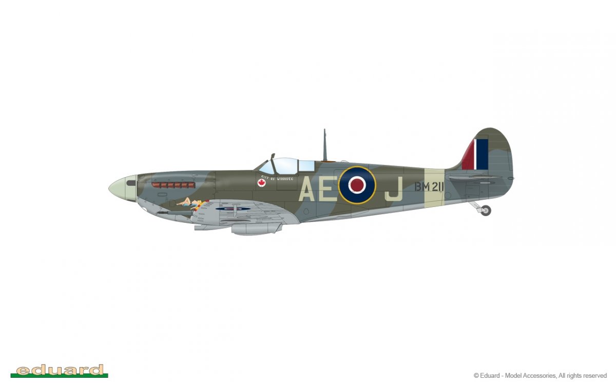 Eduard 84186 Spitfire Mk. Vb mi-1/48 – image 10