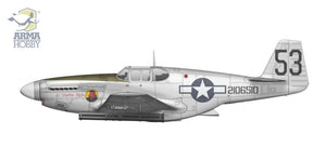 Arma Hobby 70075 P-51B Mustang China, Burma, India 1/72 – imagen 4