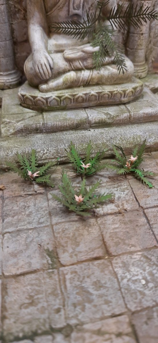 RT-Diorama 35615 Plante de la jungle n° 5 1/35  – image 4