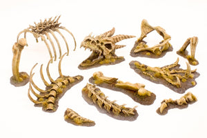 Paint Forge PFRB5001 Dragon Bones Big Set – Bild 2
