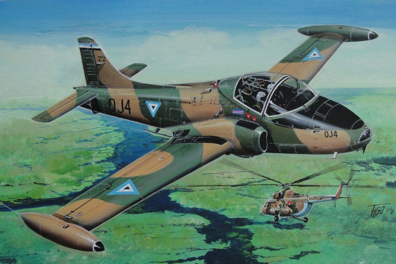 Fly 48016 BAC 167 Strikemaster Jet Provost T.5/T.5A 1/48 – immagine 2