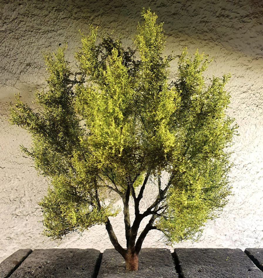 FREON WRB1 Willow Wierzba Biała 15/17cm