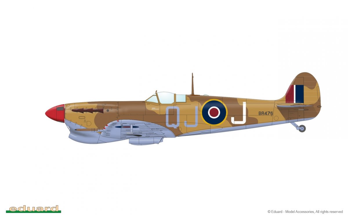Eduard 82126 Spitfire Mk. Vc TROP 1/48 – image 5