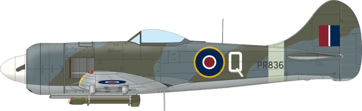 Eduard 11164 The Ultimate Tempest Limited Edition 1/48 – immagine 15