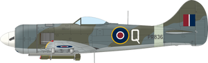 Eduard 11164 The Ultimate Tempest Limited Edition 1/48 – immagine 15