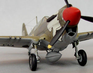 Hasegawa A9 P-40N Warhawk 1/72 – imagen 14
