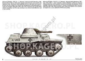 Kagero 15041 Beutepanzer (décalcomanies) PL/EN – image 3