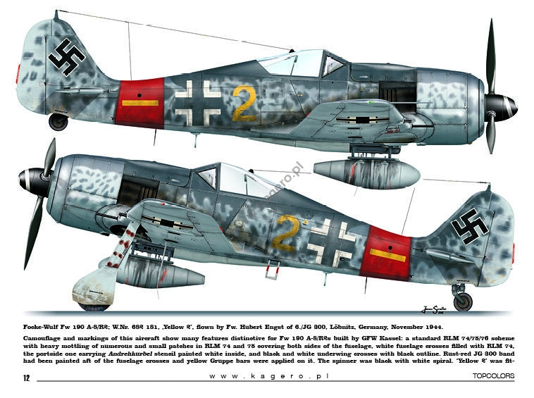 Kagero 15035 Fw 190s over Europe Part I (kalkomania/decals) EN/PL – imagen 3