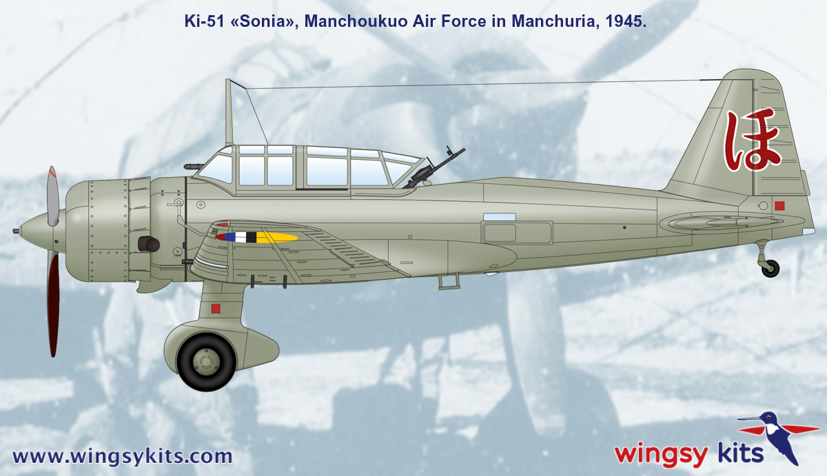Maquette Wingsy Kits D5-06 IJA Type 99 Ki-51 « Sonia » dans d&amp;#39;autres armées, échelle 1/48 – image 7
