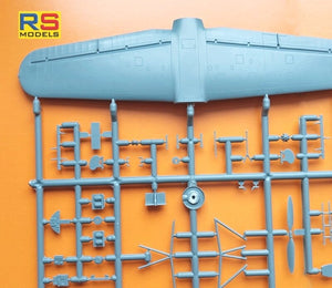 RS Models 92271 Arado Ar 199 early version 1/72 – immagine 4