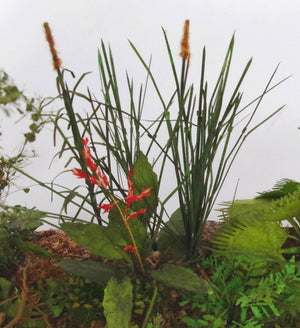RT-Diorama 35620 Herbe de la jungle 1/35 – image 5