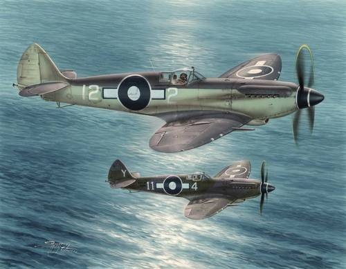Special Hobby 48116 Seafire F Mk.XV Service Extrême-Orient (1/48)