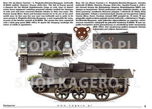 Kagero 15041 Beutepanzer (décalcomanies) PL/EN – image 4
