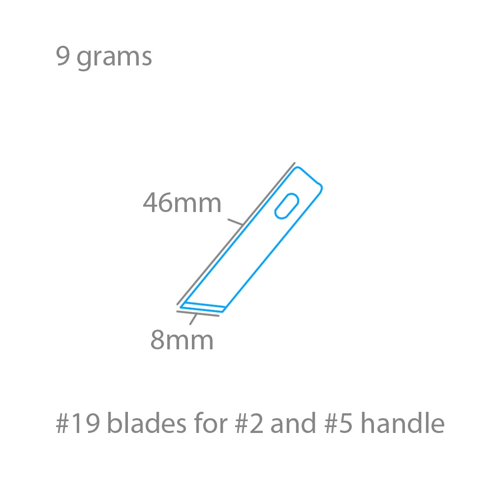 Modelcraft PKN2719 #19 Angled Chiselling Blades x 5 For #2 or #5 Handles – immagine 2