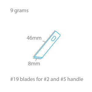 Modelcraft PKN2719 #19 Angled Chiselling Blades x 5 For #2 or #5 Handles – immagine 2