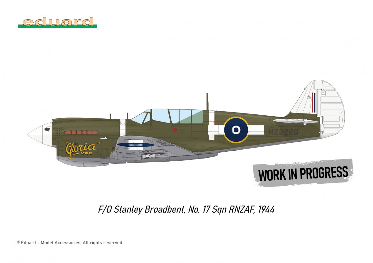Eduard R0025 P-40N WARHAWK ROYAL CLASS DUAL COMBO 1/48 – Bild 5