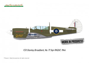 Eduard R0025 P-40N WARHAWK ROYAL CLASS DUAL COMBO 1/48 – Bild 5