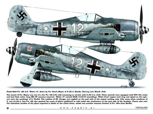 Kagero 15035 Fw 190s over Europe Part I (kalkomania/decals) EN/PL – imagen 2