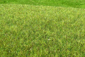 Model scene F011 Wetland middle – imagen 2