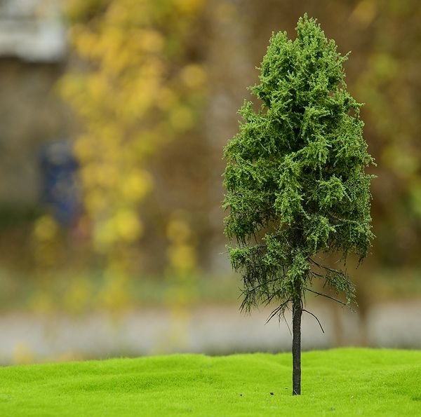 FREON MPW3 Larch - Modrzew pień wysoki 8/12cm