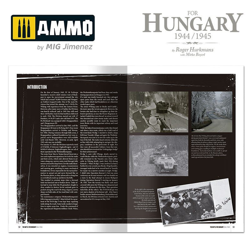 Munitions du Mig 6280 La bataille de Hongrie 1944/1945 (anglais) – image 8