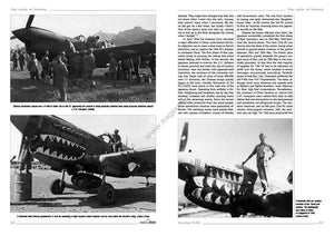 Kagero 3040 Curtiss P-40 vol. II EN – imagen 2