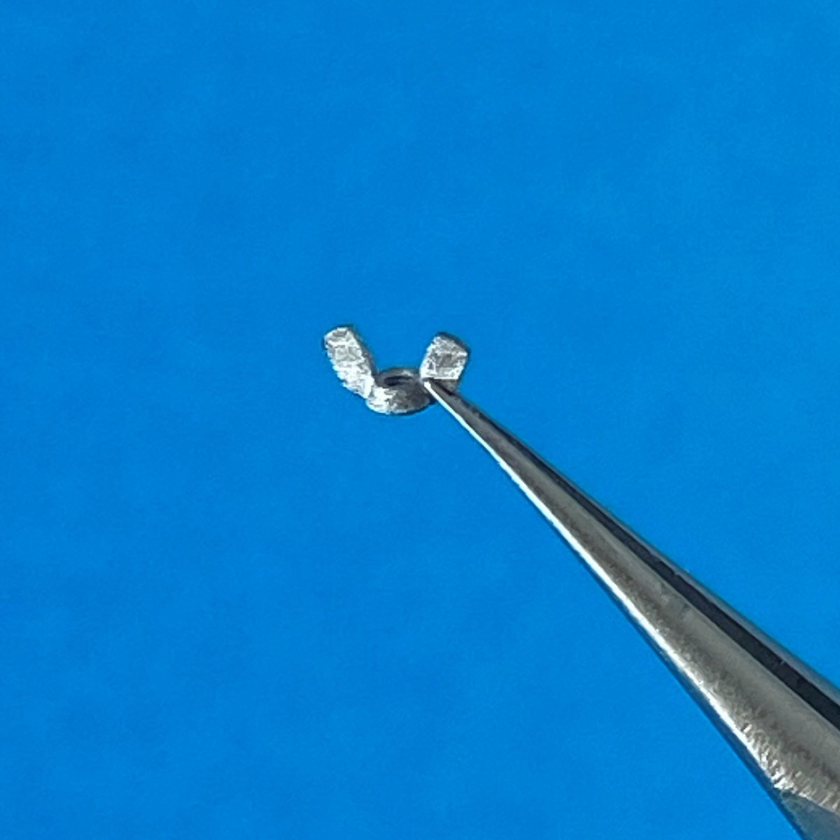 Point of no Return 1623003 Nakrętki motylkowe M10 / M10 wing nuts 1/16 – imagen 5