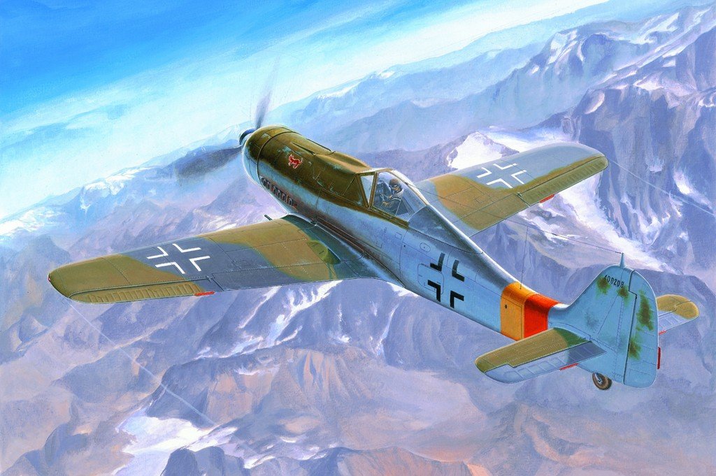 Hobby Boss 81716 Focke Wulf Fw 190D-9 1/48