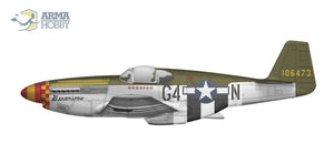 Arma Hobby 70041 P-51B Mustang 1/72 – Bild 9