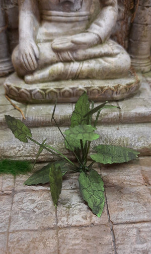 RT-Diorama 35611 Jungle Plant No.1 1/35 – Bild 3