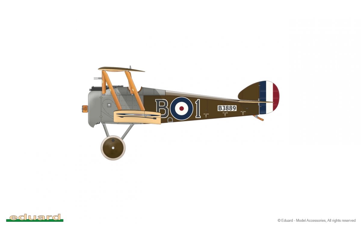 Eduard 11151 Camel &amp;amp; Co. 1/48 – immagine 24