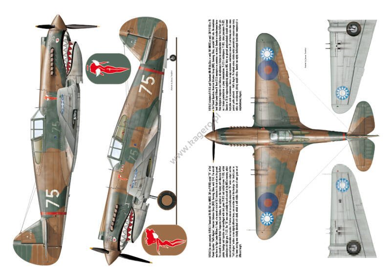 Kagero 3036 Curtiss P-40 vol. I EN – immagine 3