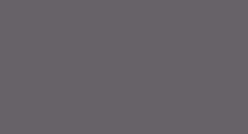 Lifecolor UA830 - Railfreight Gray 22ml