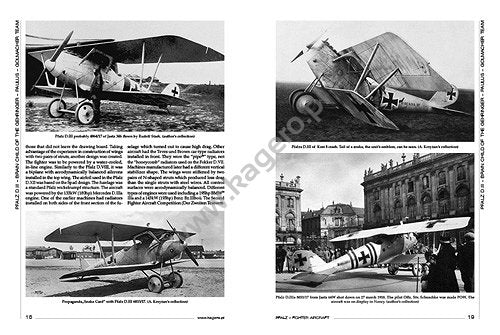 Kagero 6007 Pfalz – Fighter Aircraft from Rheinland the Wine Country EN – immagine 3