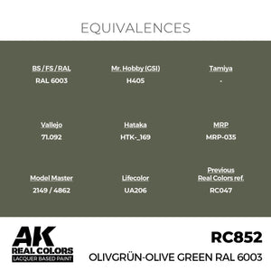 AK Interactive RC852 Olivgrün-Olive Green RAL 6003 17 ml – zdjęcie 3